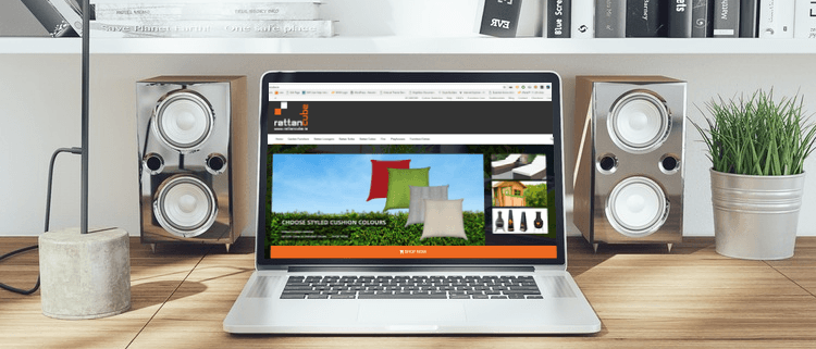 wordpress development web development