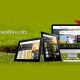 wordpress development web development