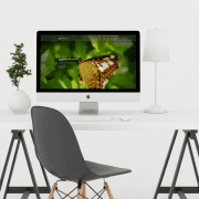 wordpress development web development