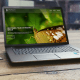 wordpress development web development
