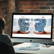 wordpress development web development