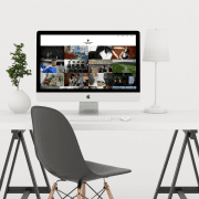 wordpress development web development