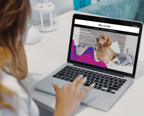wordpress development reconcile for dog wordpress and woocommerce site