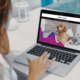 wordpress development reconcile for dog wordpress and woocommerce site
