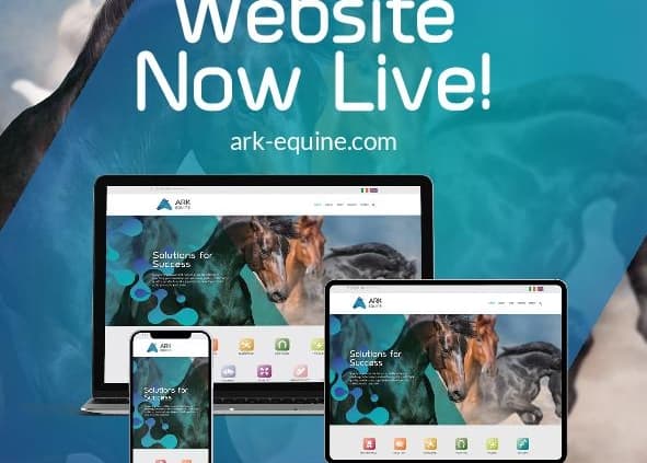 wordpress development wordpress website live ark equine