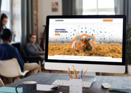 wordpress development wordpress development