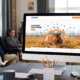 wordpress development wordpress development